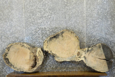 Live Edge Locust Sofa Table Top Slab, Unique Coffee Table 42000